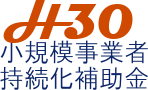 h300205h.png